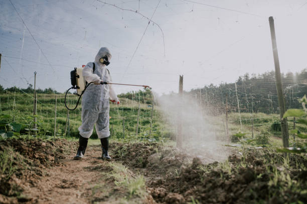 Best Local Pest Control Services  in Haverford College, PA