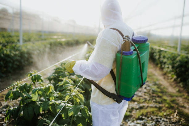 Best Residential Pest Control  in Haverford College, PA